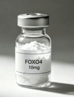 FOXO4